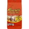 Joy's De'Lights Reeses Minatures Classic Stand Up Bag