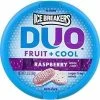 Joy's De'Lights Ice Breakers Duo Raspberry Bulk