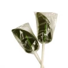 Joy's De'Lights Jalapeno Chile Lollipop
