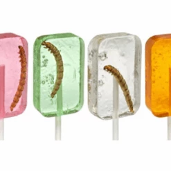 Joy's De'Lights Worm Sucker Lollipop